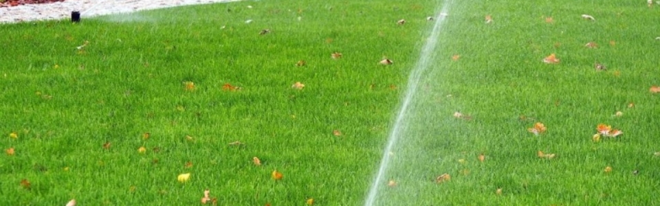 Bonomolo Irrigazione Palermo via volturno